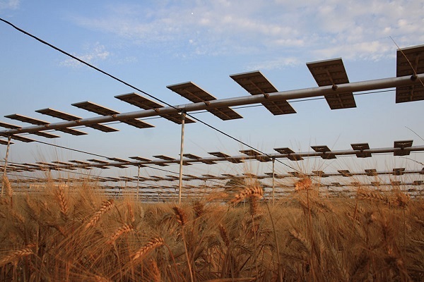 Solar Panel