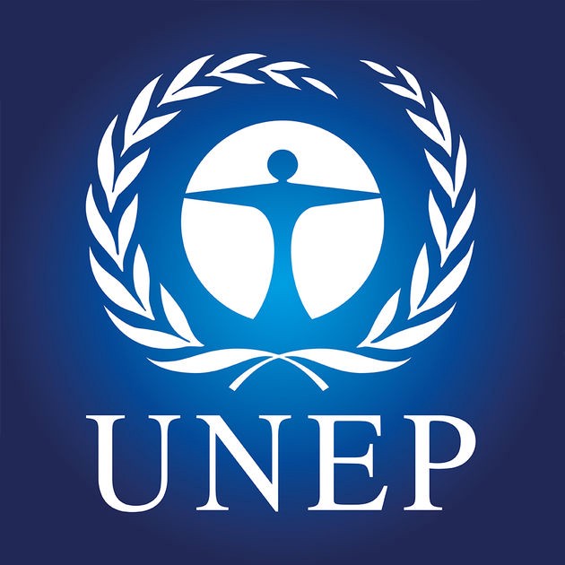 United Nations Environment Programme Internship (Environment Affairs